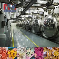 Lyophilisateur industriel de lyophilisateur d'équipement de traitement des aliments lyophilisé de qualité commerciale pour lyophilisateur de fruits et légumes