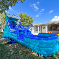 Toboggan aquatique gonflable de qualité commerciale en forme de dauphin pour adultes et enfants