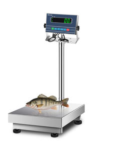 अनुकूलन योग्य पशु स्केल कम कीमत मंजिल पैमाने - Product Image 5