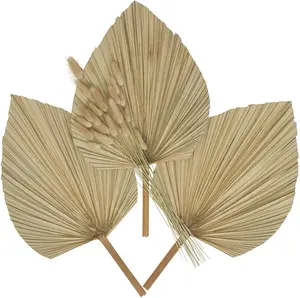 Hot Selling Boho Decor Natural Flowers Pampas Dries Dry Heart Leaf Beige Plants Dried Palm Leaves