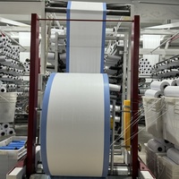Tissu tubulaire en polypropylène rigide de qualité alimentaire, tissé en rouleau, pour le conditionnement du riz et des aliments, moulage par soufflage – Vente chaude des fabricants chinois à prix abordable