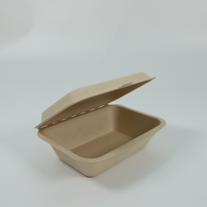 sugarcane Bagasse pulp biodegradable food box
