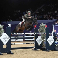 Obstacles équestres de haute qualité Poteaux en bois avec extrémités en métal Tailles personnalisées durables Prix d'usine Sauts de spectacle équestre