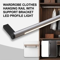 Rail de suspension pour vêtements en aluminium anodisé avec éclairage LED linéaire, longueur personnalisée YB4001-32-1