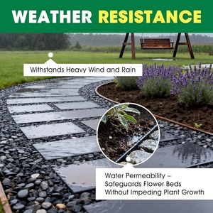 L'agent de fixation du sable à usages multiples est utilisé pour combler les trous dans les tourbillons d'eau de la chaussée, la réparation des chaussées, la fixation de la poussière murale. - Product Image 2