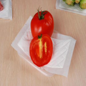 Almohadilla Absorbente para Alimentos, Almohadilla Súper Absorbente para Carne, para Bandejas de Plástico de Carne de Res y Pollo Congelado en Supermercados al por Mayor - Product Image 3