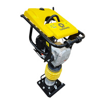 Compacteur vibrant diesel LUDWIG GTR80 3-6HP pour travaux de construction