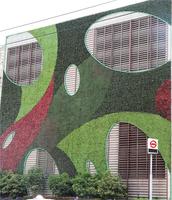 Panneau mural végétal artificiel ignifuge de classe B pour la décoration intérieure de bureaux, maisons et balcons