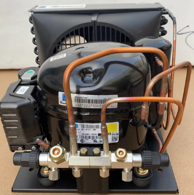 Refrigerator Compressor Fresh Cold Storage Condensing Unit Small 4430/AE4440YHR Kitchen Refrigerator Equipment 220V