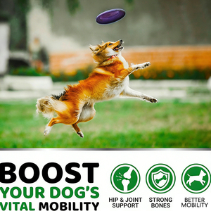 Suplemento Masticable para Perros con Glucosamina, Condroitina y Omega 3 para la Salud de las Articulaciones y Cadera, con Fórmula Avanzada para la Movilidad - Product Image 2