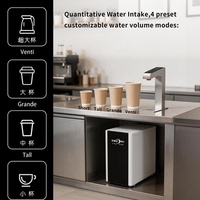 Chauffe-eau sous évier en acier inoxydable, distributeur d'eau chaude électrique, grande capacité, affichage LED, chauffe-eau instantané 12,5 L