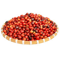 Café Robusta torréfié le plus vendu, saveur intense, certifié HACCP, emballage en sac plastique, fabriqué en usine au Vietnam
