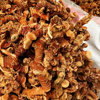 Galangal séché naturel en vrac, arôme intense, épice de qualité alimentaire, fournisseur
