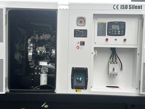 Generatore Diesel Industriale LETON POWER 50kVA 60kVA 70kVA Esclusivo per USA e Canada, Opzioni di Marca Perkins e Kubota - Product Image 3