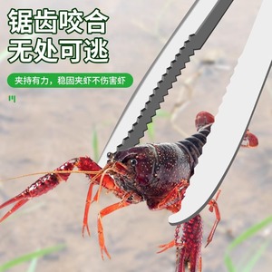 Baolian Stainless Steel Eel Catcher Clips With Triple Tooth Grip For Freshwater Fishing - Product Image 3