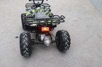 Mini Quad Électrique CE pour Enfants, Quad Électrique pour Enfants avec Moteur 36V 500W, Batterie au Plomb-Acide 36V 12Ah