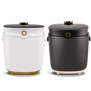 Rice Cooker Small Good Quality Factory Lunch Box Smart Steel Steam Drum Mini Rice Cooker Cheap Cover 2L
