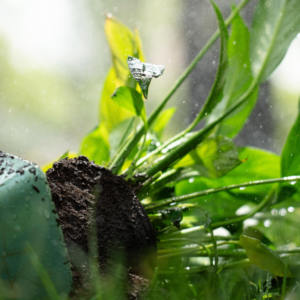 Terreau en poudre pour plantes vertes <span class=keywords><strong>fleurs</strong></span> succulentes pour la plantation et l'élevage de semis - Product Image 5