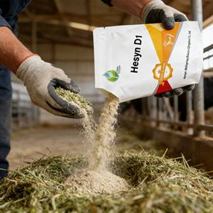 Hesyn D1 Probiotici per Ruminanti, Additivo Alimentare, Aminoacidi per Bovini e Ovini, Migliora l'Ambiente Ruminoso e la Digestione - Product Image 5