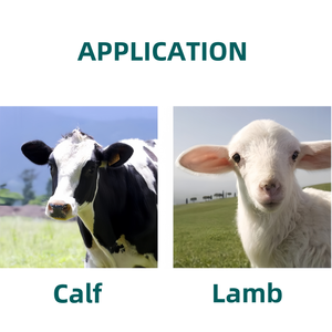 2 L Bê Cừu Sữa Chai Nhựa Sữa Trung Chuyển Với Màu Đỏ Núm Vú Gia Cầm Thiết Bị Bò Sữa Cho Ăn Chai - Product Image 6