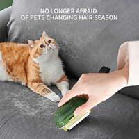Dissolvant de peluches pour vêtements dissolvant de granulés cheveux de chat épilateur pour animaux de compagnie vêtements lavables rouleau collant canapé dépoussiéreur