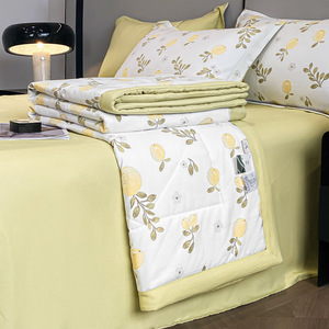 Chăn hè cotton cao cấp, họa tiết hoa tulip, chất liệu lụa đá mát lạnh, dành cho một hoặc hai người, kèm vỏ chăn, kiểu tối giản sang trọng. - Product Image 2