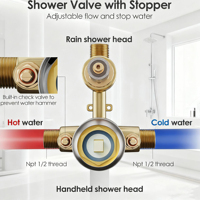 Système de douche mural thermostatique en laiton de haute qualité avec poignée unique, finition nickel brossé, design ferme, jet de pluie céramique