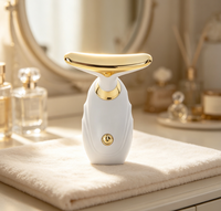 Masseur facial vibrant, utilisation simple, appareil de massage pour le visage et le cou, entretien quotidien de la peau