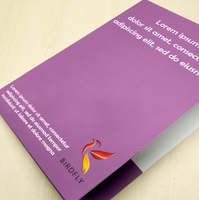 Carpeta de Archivo Reciclable Ecológica de PE con 2 Bolsillos, Impresión CMYK Personalizada, Carpetas de Papel con Logotipo para Empresa, Hospital, Escuela