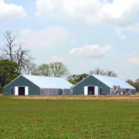 Design moderne, poulailler à structure en acier à bas prix, hangar à poulets préfabriqué, poulailler écologique
