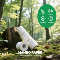 Papier toilette en bambou écologique Kleesoft en gros. Papier doux 3 plis, logo personnalisé, emballage en vrac pour hôtel