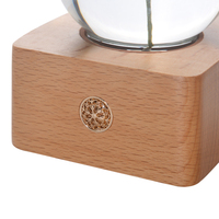 Chaîne décorative en bois clair, nouveau, usine chinoise, pour noël, décoration, cadeau en boule de résine, base en bois, veilleuse, haut-parleur, boîte à musique