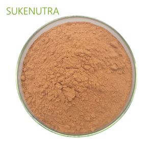 Zimt-Rindextraktpulver mit 30 % Polyphenolen zur Unterstützung des Zuckerstoffwechsels - Product Image 2