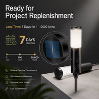 Lampes solaires d'extérieur LED étanches IP65 en acier inoxydable, lampadaires décoratifs, lampes solaires de jardin, éclairage de chemin
