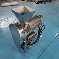Machine à lait de coco entièrement automatique extracteur de jus de gingembre extracteur de jus à vis