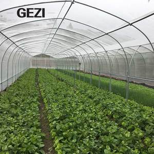 Vente en gros de <span class=keywords><strong>film</strong></span> de couverture en plastique ultra 20 40 mesh pour volailles filet anti-insectes PE-HD pour les serres agricoles Gazebo rouleau agricole - Product Image 4