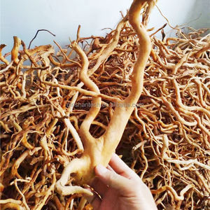 Kunstmatige Bonsai <span class=keywords><strong>Driftwood</strong></span> Boomdecoratie, Grote Regenwoud-stijl Aquarium Ornament met Plastic Verpakking voor Reptielengebied - Product Image 1