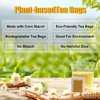 Sachets de thé santé NutriCha – Vente directe usine, support dropshipping, personnalisables, saveurs saines : curcuma, gingembre, cannelle