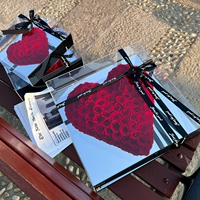 Nouvelles roses préservées, fleurs stabilisées à longue durée de vie, rose éternelle préservée dans un coffret cadeau en acrylique miroir