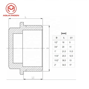 Brass 3/8 1/2 3/4 1 Inch Ống Tẩy Trống Hex Nam Ống Cuối - Product Image 2
