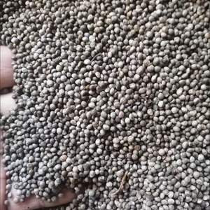 Семена масла для наполнения фруктов периллы - Product Image 4