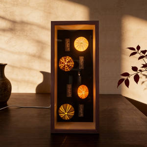 Lampe <span class=keywords><strong>de</strong></span> nuit Épine <span class=keywords><strong>de</strong></span> mer très populaire, objet <span class=keywords><strong>de</strong></span> <span class=keywords><strong>collection</strong></span> décoratif, forme carrée, chargement USB Type A, pièce <span class=keywords><strong>de</strong></span> <span class=keywords><strong>collection</strong></span> incontournable - Product Image 3