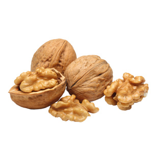 Suministro <span class=keywords><strong>de</strong></span> fábrica <span class=keywords><strong>Precio</strong></span> al por mayor Cáscara delgada 185 Nogal - Product Image 3