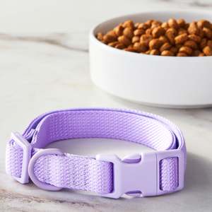 ปลอกคอสุนัขแบบปรับได้ทำจากนีโอพรีนสีสันสดใสขนาดกลาง - Product Image 3