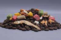 OEM/ODM, usine de fabrication d'aliments pour animaux de compagnie riches en protéines, vente en gros, diverses saveurs, aliments secs pour chats