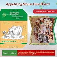 Piège à colle pour souris Cat Mountain King 30x20 – Modèle pour souris, mouches, cafards et moustiques – Vente en gros en usine, emballage en boîte