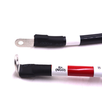 Maßgefertigter 70mm² 200A Verzinnter Kupfer 220V Auto-Steckverbinder 241225-06 PVC-Isolierter Kabelbaum für Neue Energie-Batterien