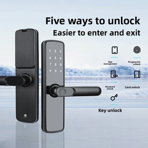 Cerradura Electrónica Inteligente para Puerta, con Huella Dactilar, Desbloqueo Remoto por Aplicación, Diseño Estilo Grafiti, Acero Inoxidable 201, para Puerta de Madera Sólida - Product Image 1