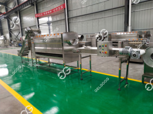 Cepillo automático de calidad para lavar y pelar raíces y verduras - Product Image 2