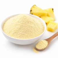 Poudre de fruit d'ananas lyophilisée de qualité alimentaire, ingrédient de boisson de haute qualité, vente en gros, fournisseur direct du fabricant